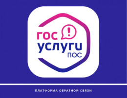 Платформа обратной связи (ПОС) Платформа обратной связи (ПОС).